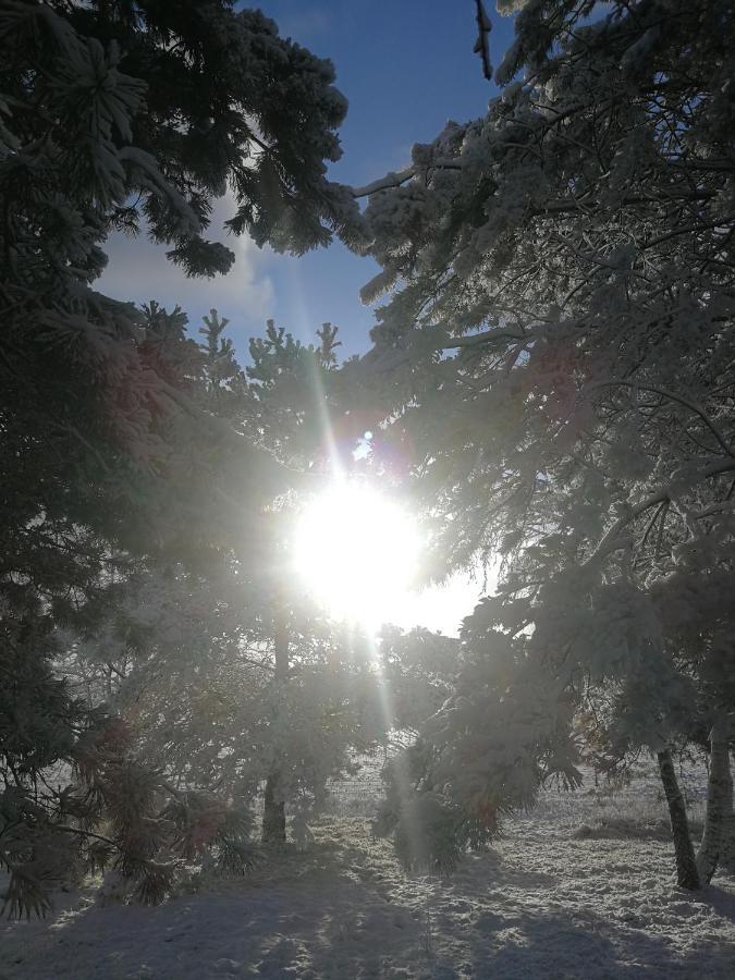 Luksusowy- Nowoczesny Dom W Lesie Villa Kowalewo Luaran gambar