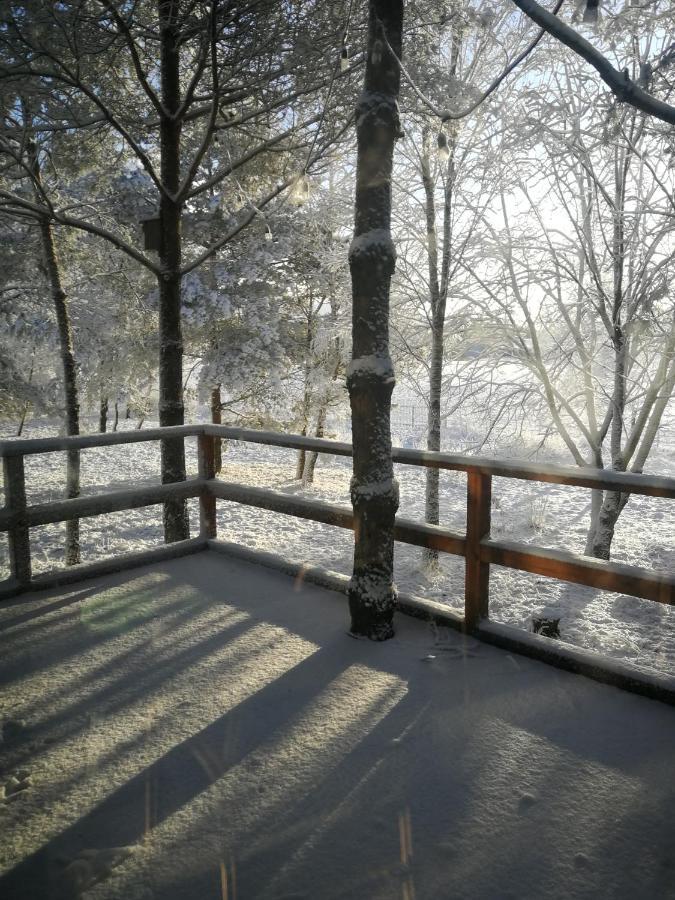 Luksusowy- Nowoczesny Dom W Lesie Villa Kowalewo Luaran gambar