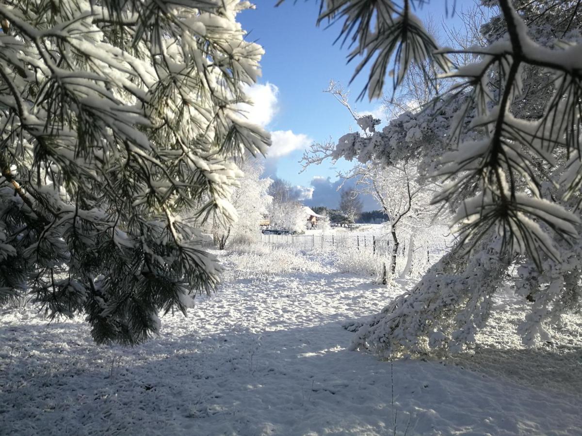 Luksusowy- Nowoczesny Dom W Lesie Villa Kowalewo Luaran gambar